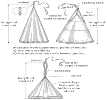 FISH CRAFT-FISH GEAR - BIOLOGY ZOOM